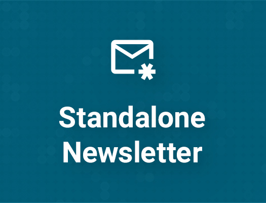 Werbeformat Standalone-Newsletter bei Werkstatt + Betrieb