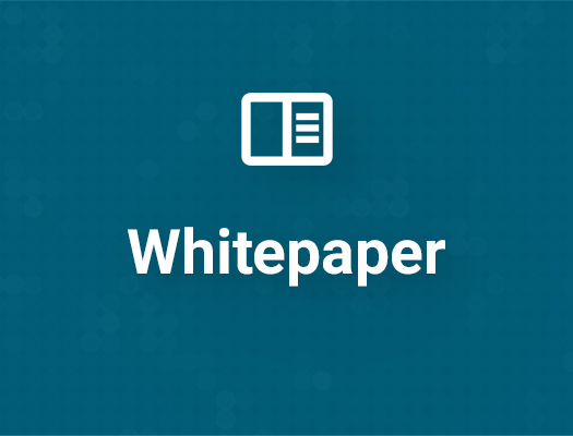 Werbeformat Whitepaper auf werkstatt-betrieb.de