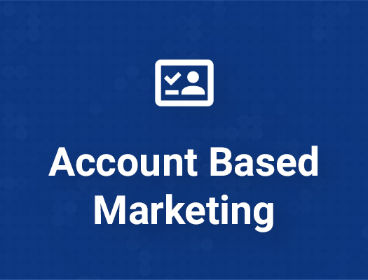 Werbeformat Account Based Marketing bei hanser-automotive.de