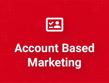 Werbeformat Account Based Marketing bei plasticsinsights.com