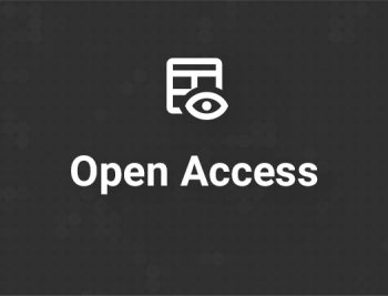 Werbeformat Open Access in Plastics Insights