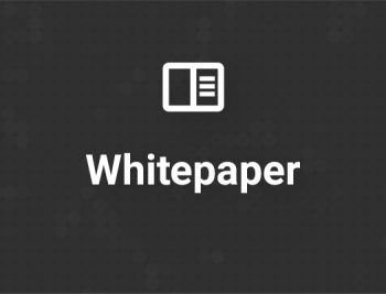 Werbeformat Whitepaper bei plasticsinsights.com